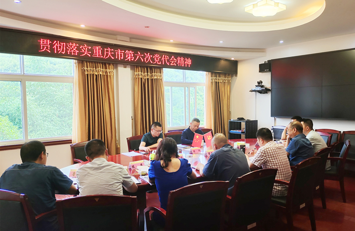 樊湖到酉水公司传达学习贯彻市第六次党代会精神_副本.jpg